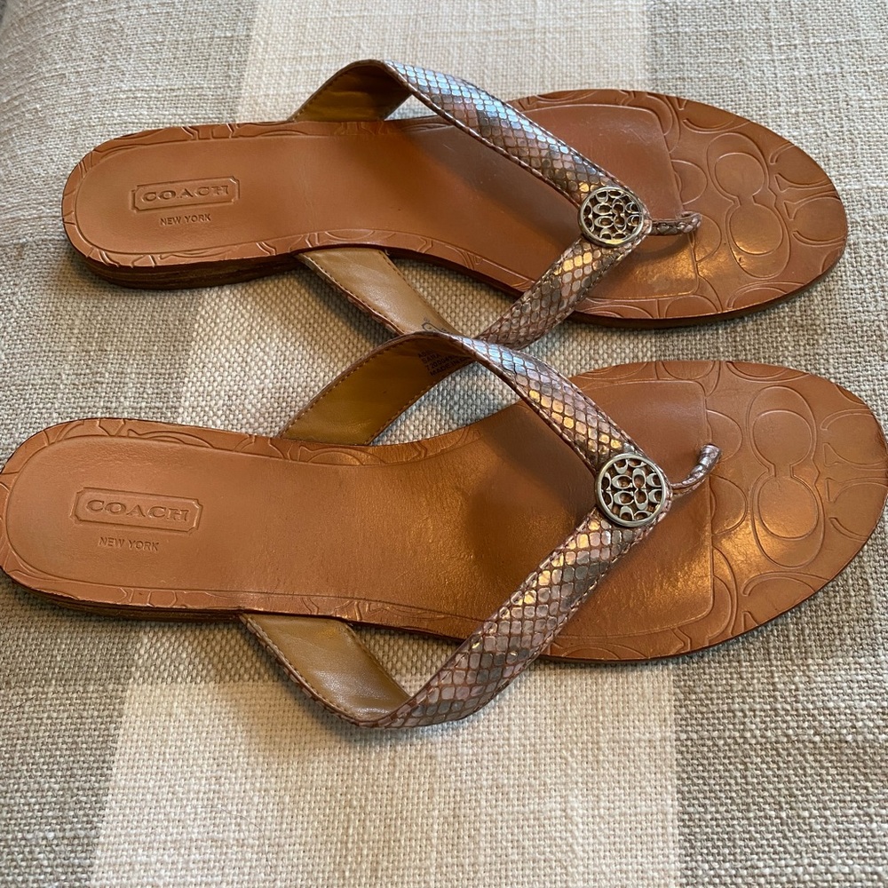 Coach flip flop sandals